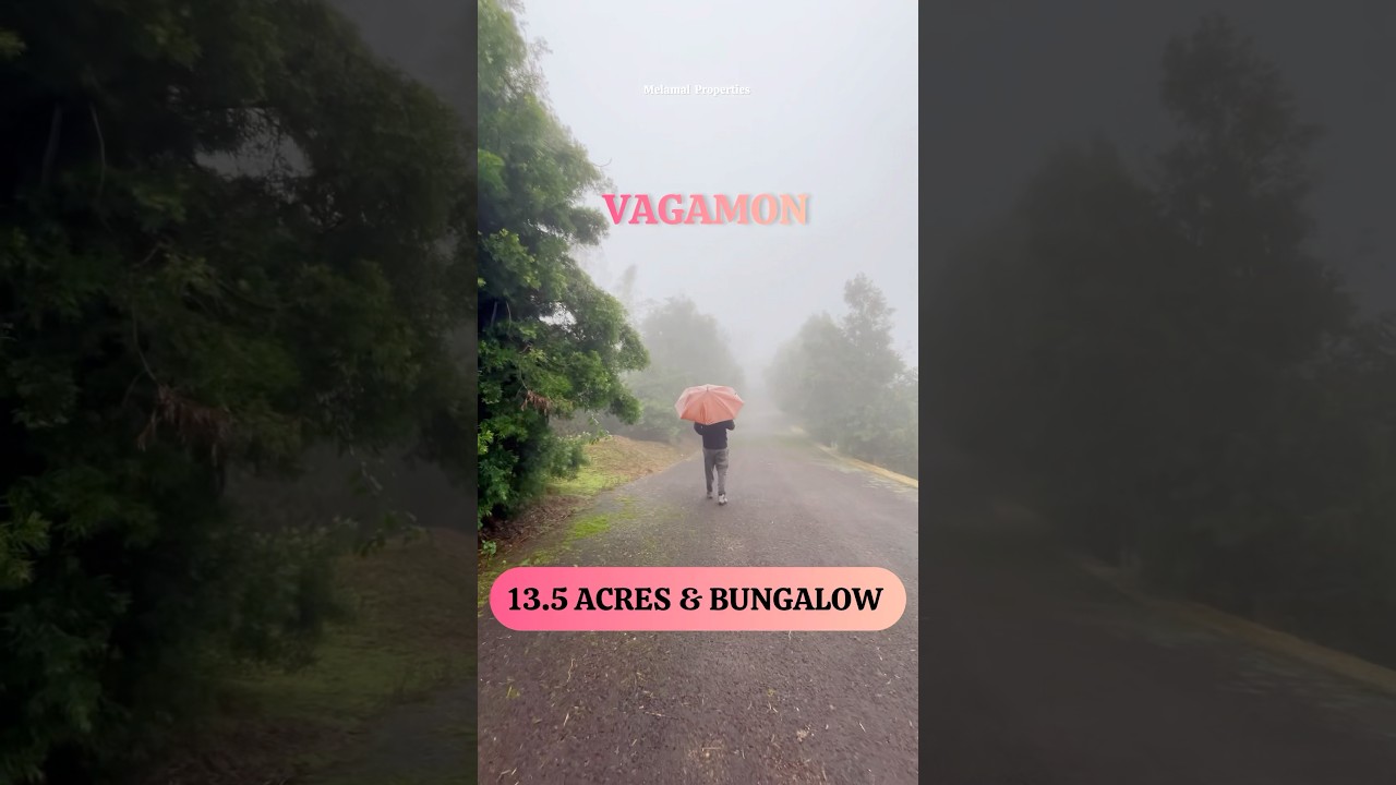13.5 ACRES TEA PLANTATION & A BUNGALOW FOR SALE IN VAGAMON,PRIME LOCATION.#vagamon #idukki