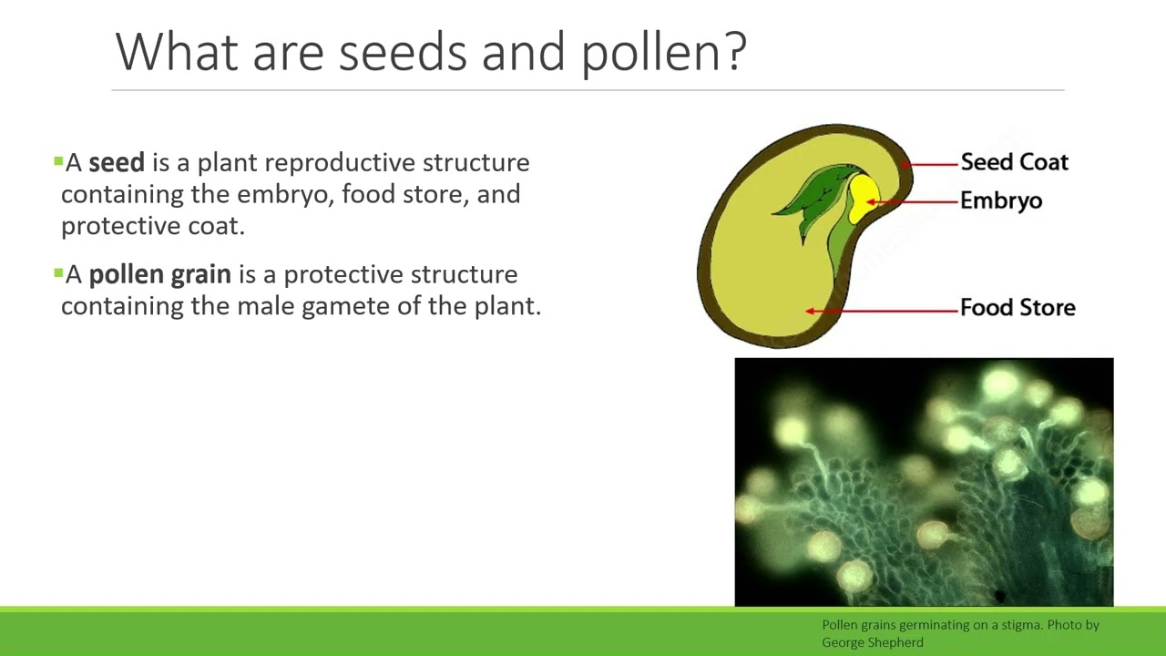 BIO182 Plant Reproduction and Structure