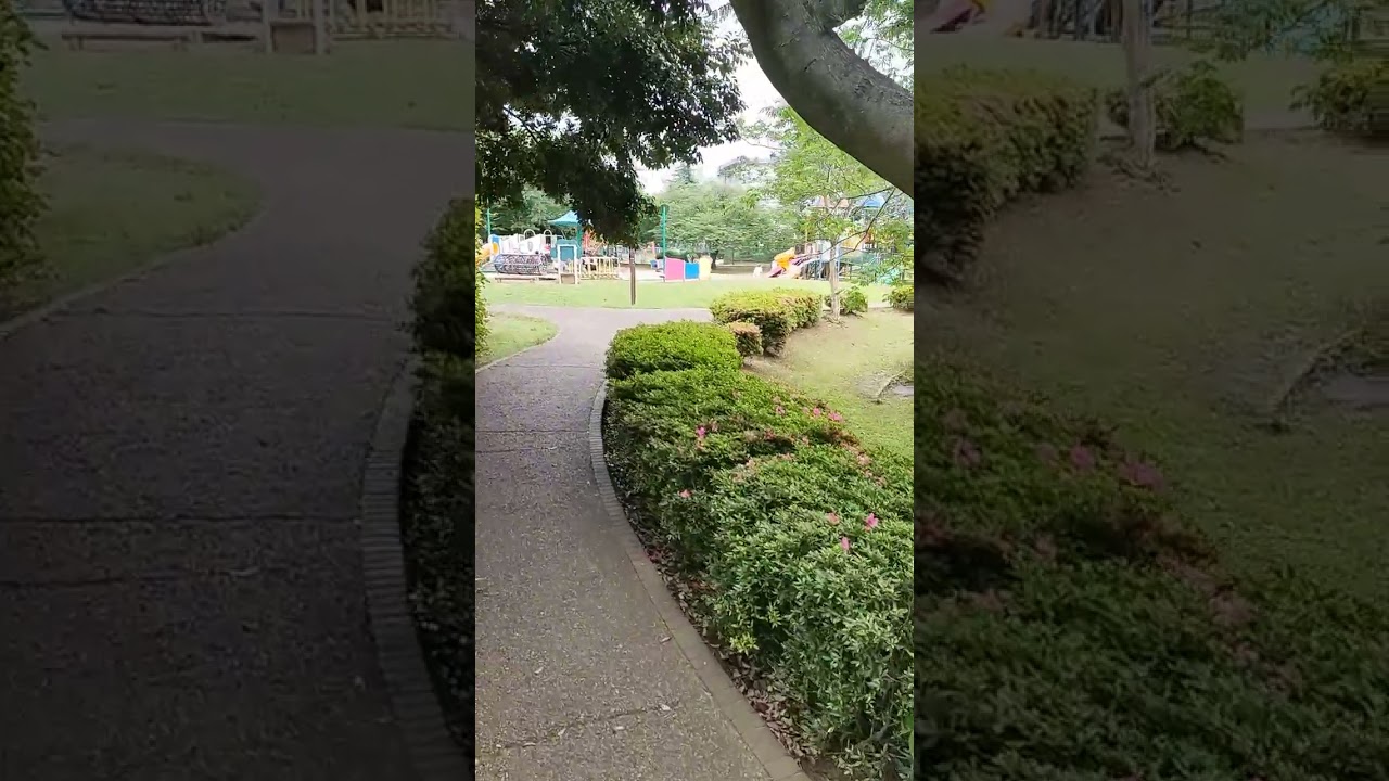 子どもと綾南公園を散策@綾瀬市(2024年5月)