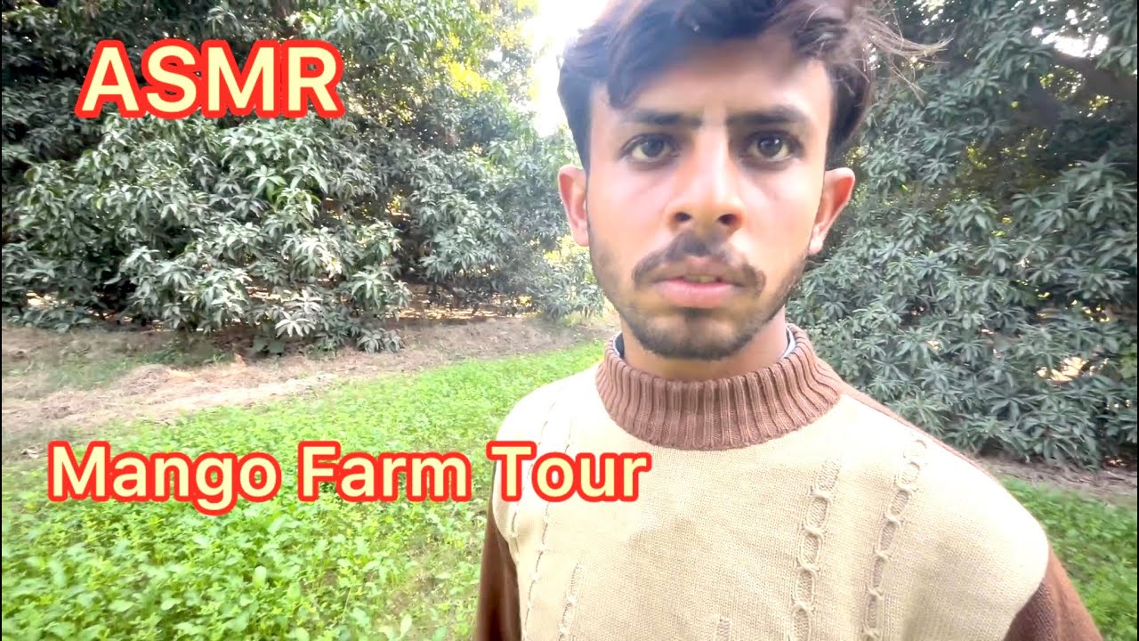 ASMR: Exploring Mango Farm Tour 🌴 Sounds & Relaxation”