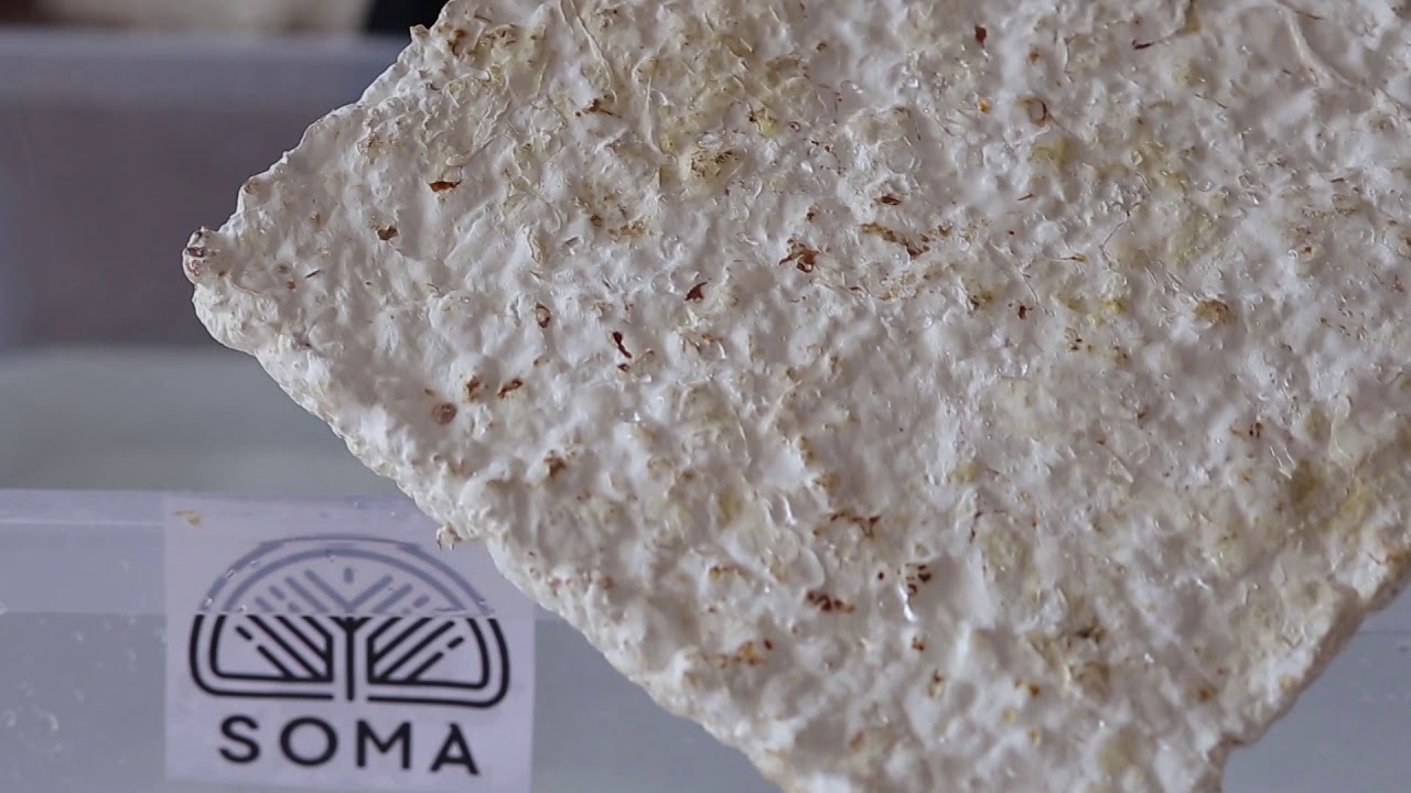 SOMA BIOSPORIN - Najbolja Tehnološka Inovacija 2020