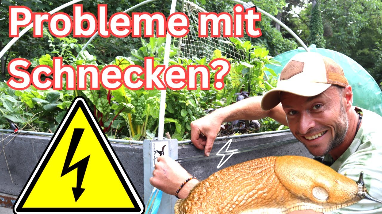 Elektrischer Schneckenzaun gegen Schnecken! Funktioniert er wirklich?