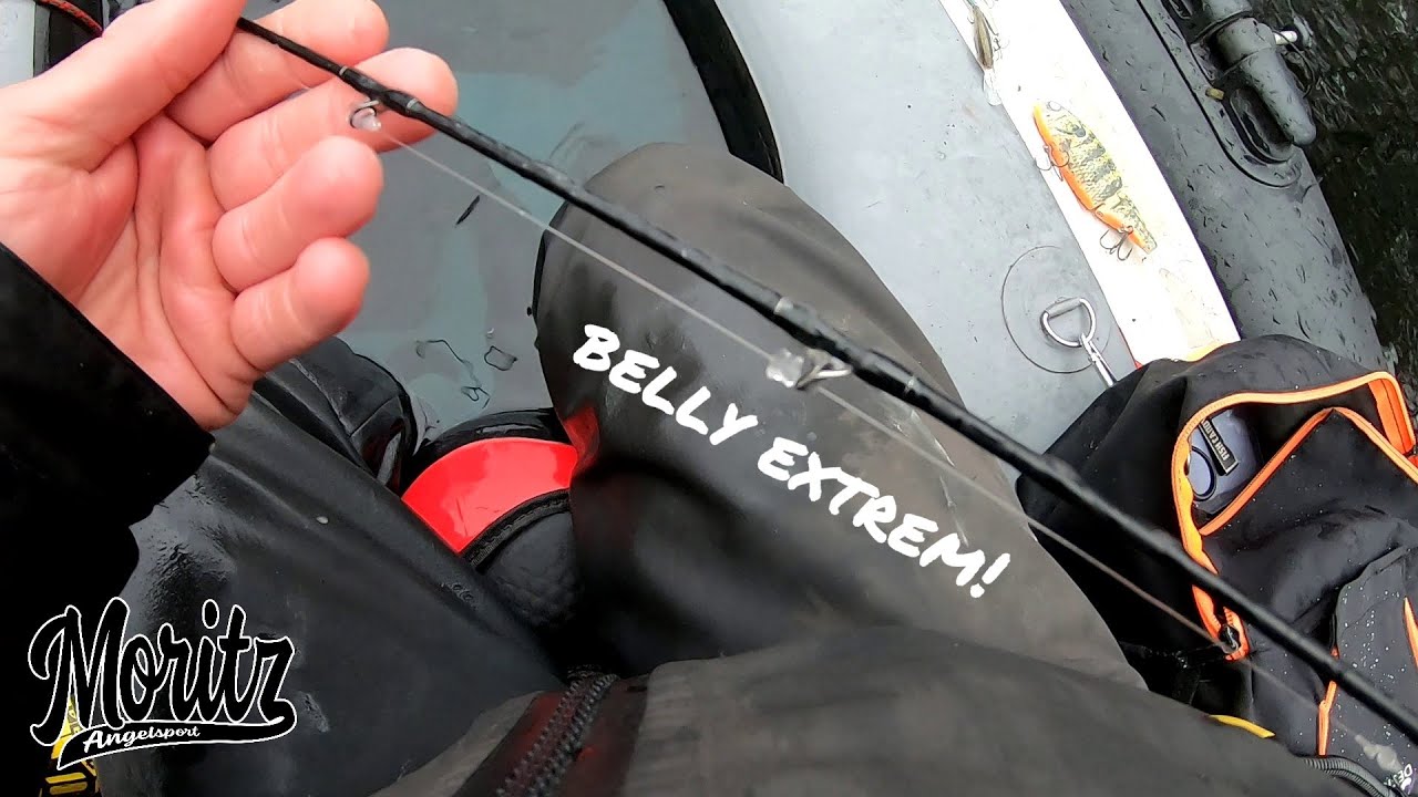Belly extrem - eiskalt zum Fisch!
