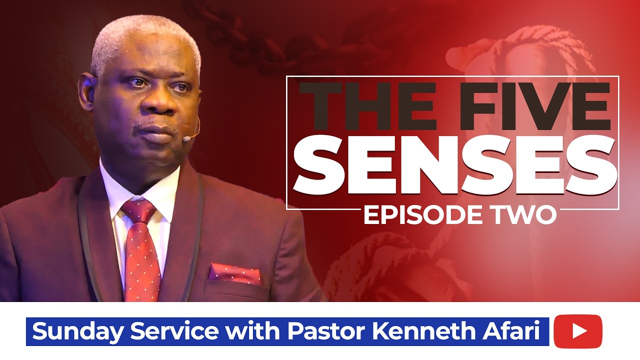 The Five Senses (II) | A Must Watch!!!