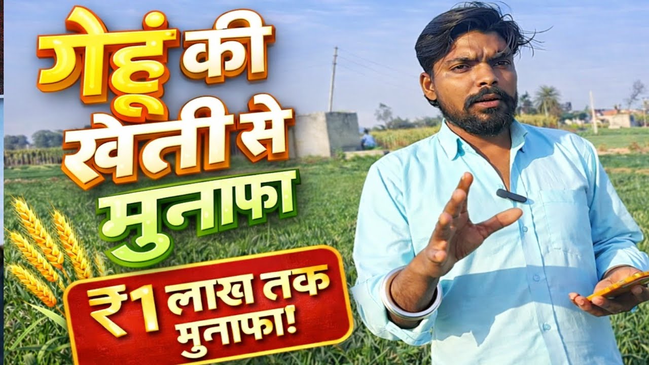 गेहूं की खेती से लाखों का मुनाफा | Wheat farming tips 2026