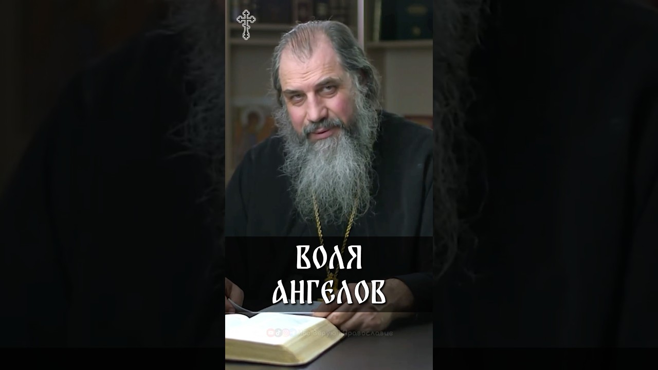 Воля ангелов | прот. Александр Никольский