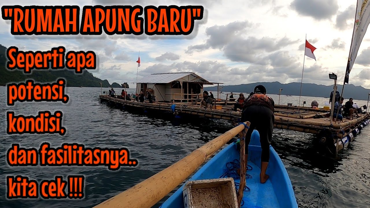CEK RUMAH APUNG BARU DI TELUK PRIGI TRENGGALEK ‼️ seperti apa kondisi, potensi, dan fasilitasnya 