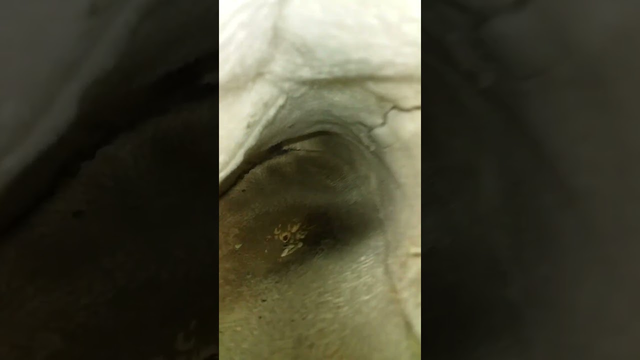 Extremely sweaty footprints on a girl's boots