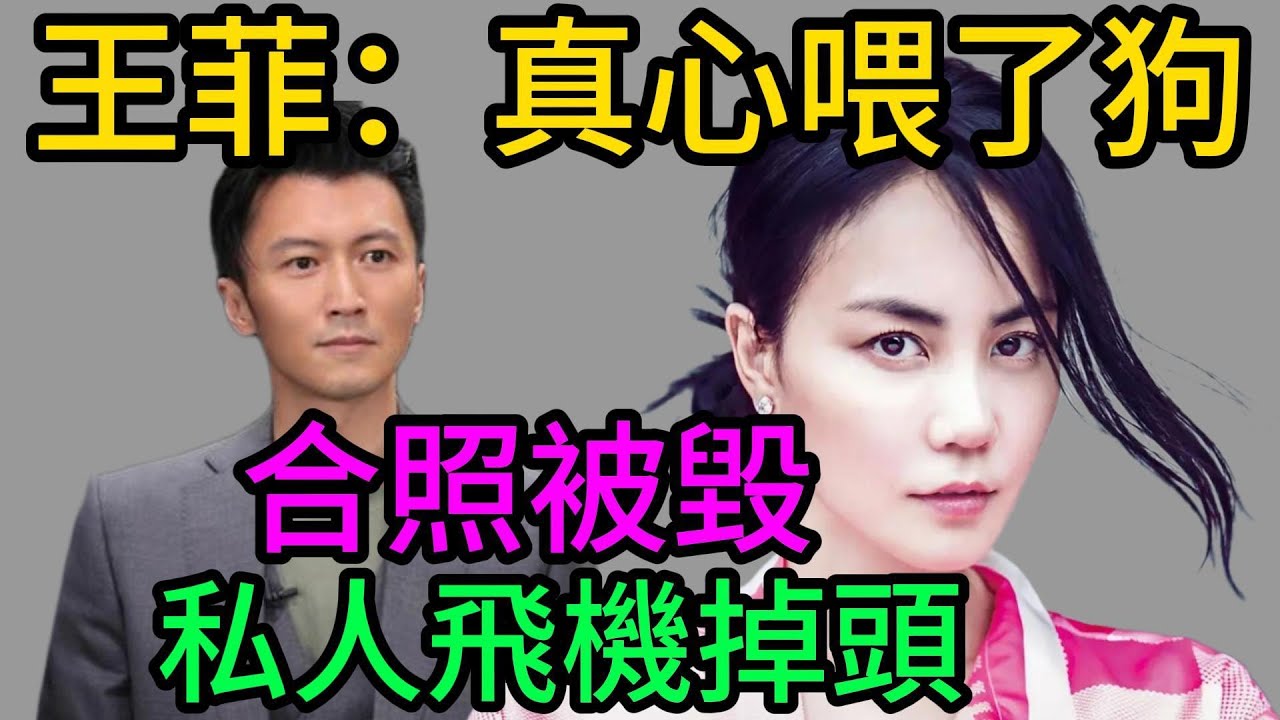王菲連夜返京？謝霆鋒工作室合照被毀！一句&ldquo;真心喂了狗&rdquo;撕開豪門遮羞布，第三胎生父竟然是他？謝霆鋒#張柏芝#王菲#Marcus生父#DNA親子鑒定#謝賢#Lucas謝振軒#Quintus#港圈八卦
