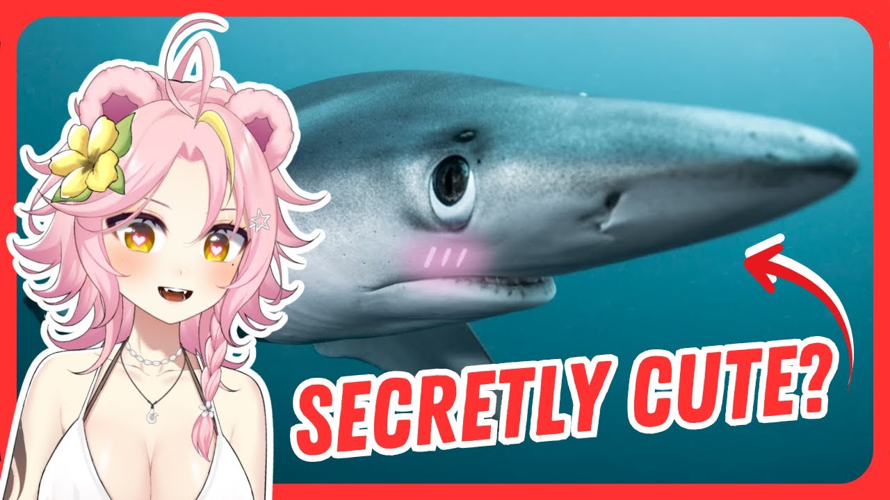 Sharks Are Actually... Cute?? | Maddiekuma Reacts