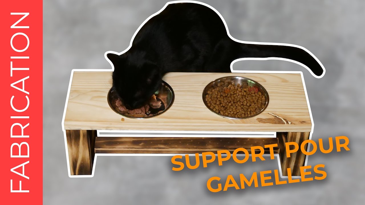 COMMENT FABRIQUER UN SUPPORT DE GAMELLES POUR CHAT ? | Tutoriel projet en bois