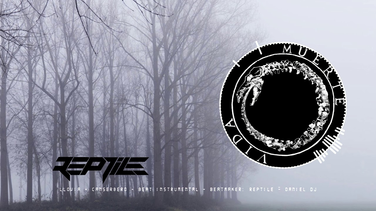 LLOVIA - CANSERBERO INSTRUMENTAL - BEATMAKER - REPTILE