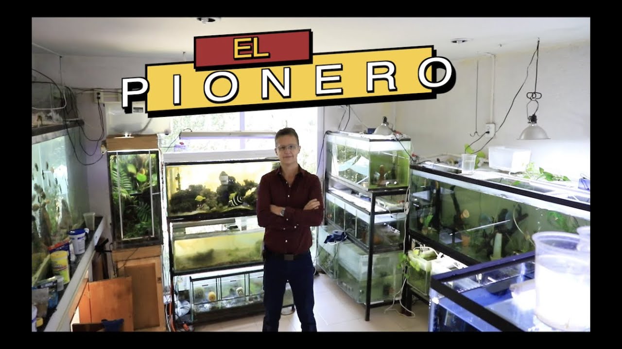 EL PRIMER REPRODUCTOR DE PECES MARINOS||||||😯🐟🐠