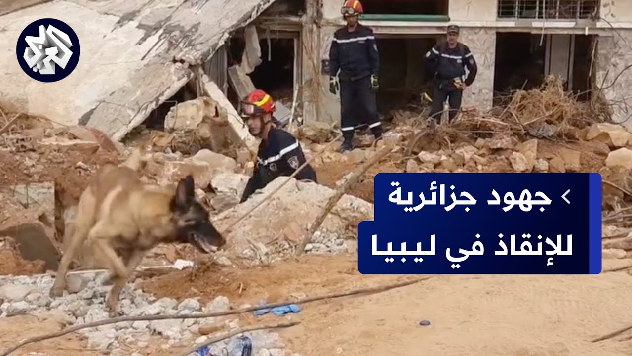 فريق الحماية المدنية الجزائرية يواصل عمليات الإنقاذ والإغاثة في مدينة درنة الليبية