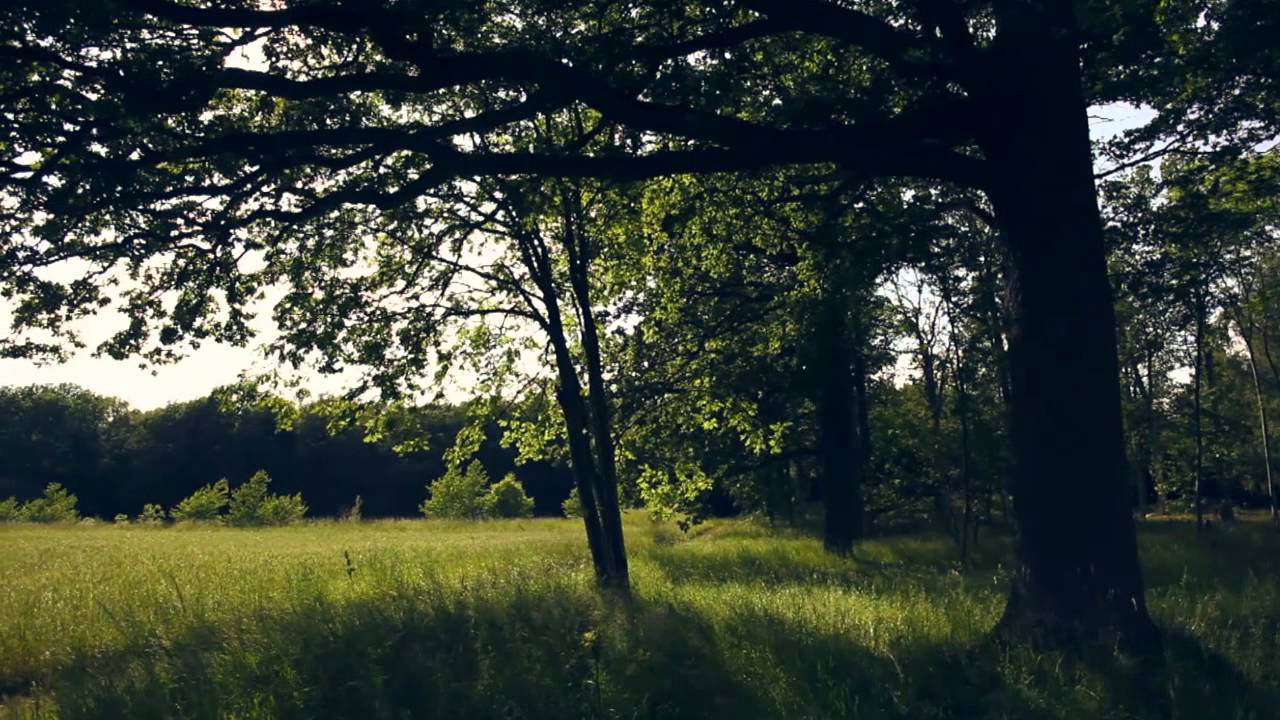 Visings&ouml;