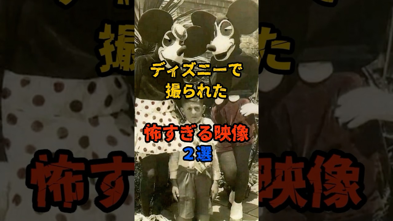 ディズニーで撮られた怖すぎる映像２選 #怖い話 #ホラー #都市伝説 #雑学 #放送事故 #shorts
