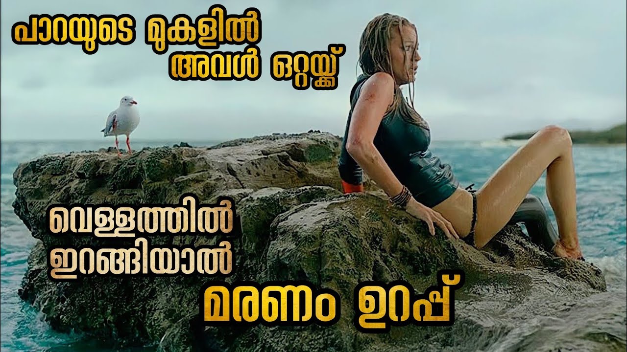 എന്തിനെയാണ് അവൾ ഭയപ്പെടുന്നത് വെള്ളത്തിൽ എന്താണുള്ളത് @malluexplainer185