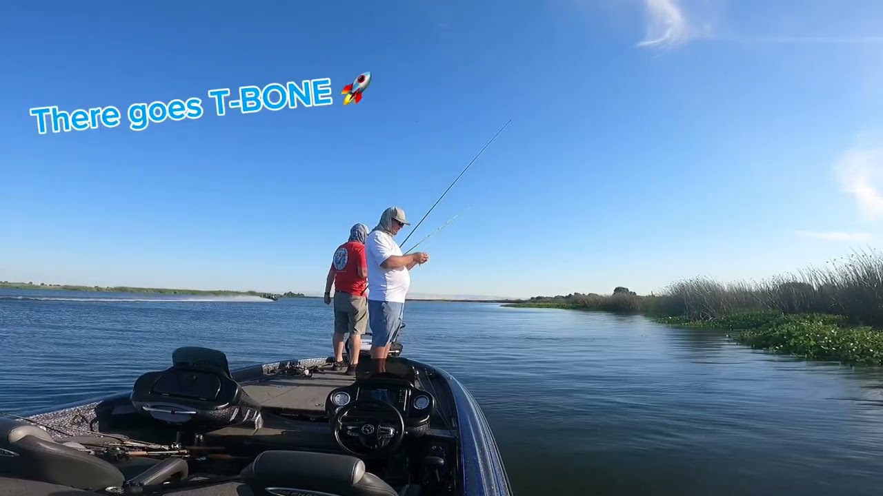 Windy Wednesday Nighter # 3