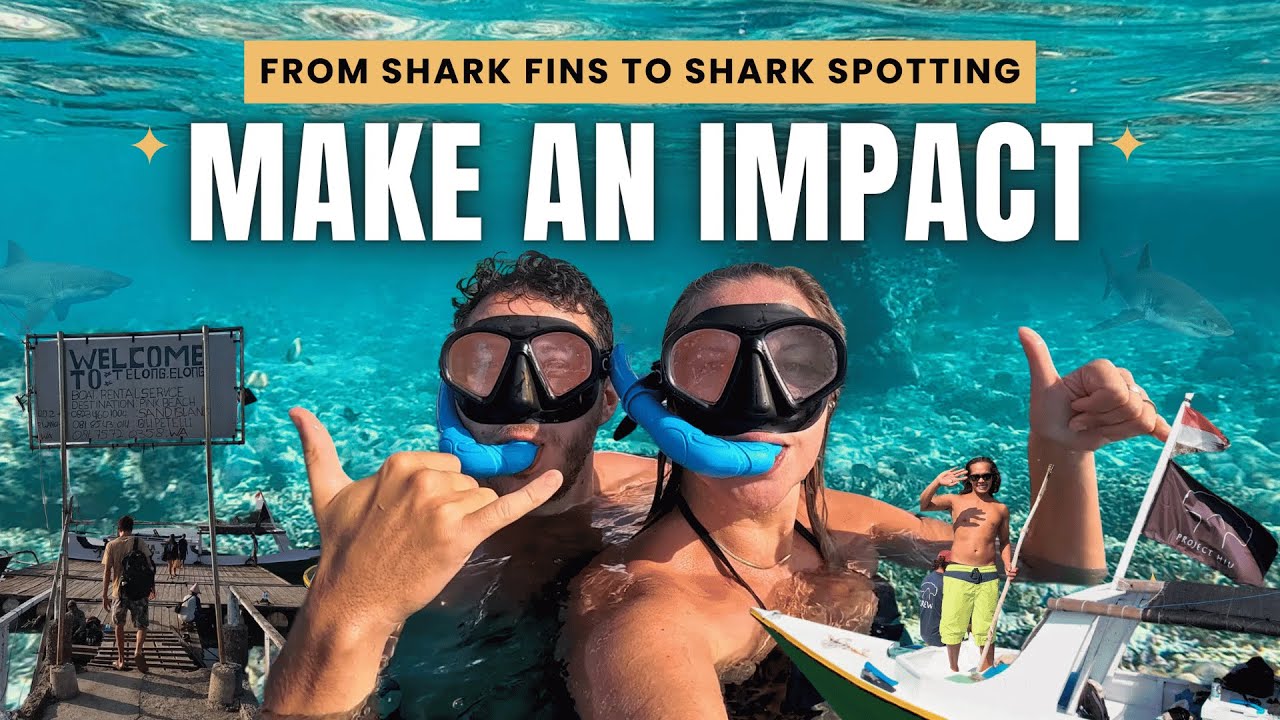 The BEST tour in Kuta Lombok where you actually SAVE SHARKS! 🦈🙌🏼