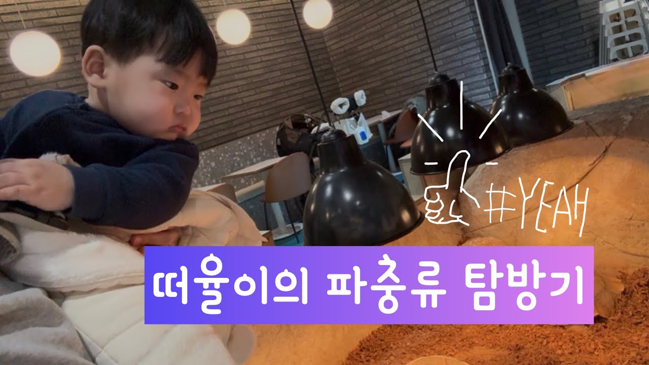 떠울이의 파충류 탐방기
