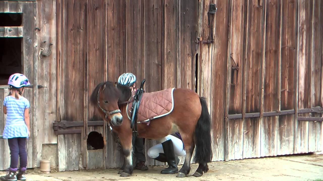 Ponyreiten auf dem Bauernhof von Familie Gründinger!