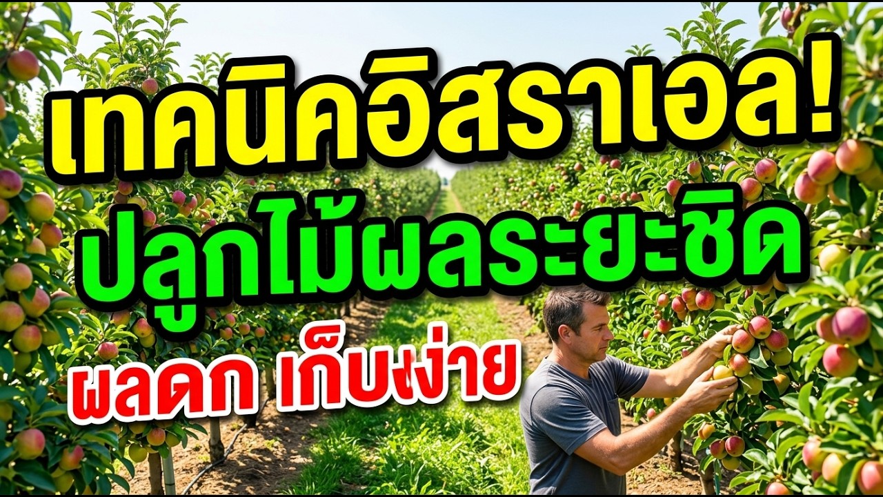 ไขความลับอิสราเอล! ปลูกไม้ผล 