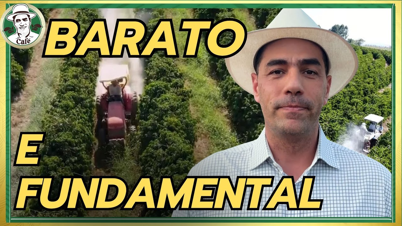O QUE VOCÊ NÃO SABE SOBRE O CALCÁRIO!