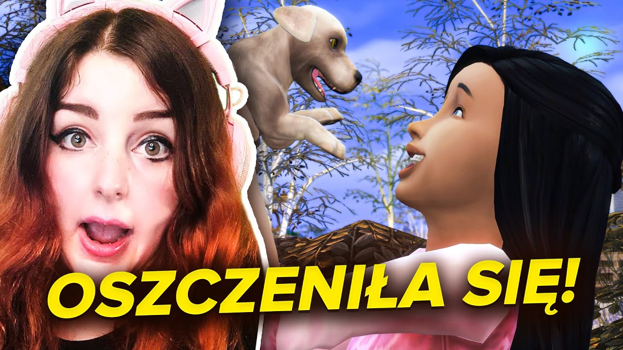 Nareszcie! Mamy małe pieski i ..  wizytę komornika..
