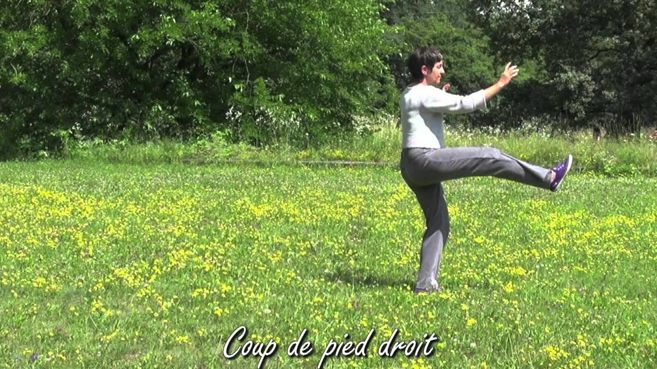 ﻿﻿La petite forme du style Yang, encha&icirc;nement en 24 mouvements