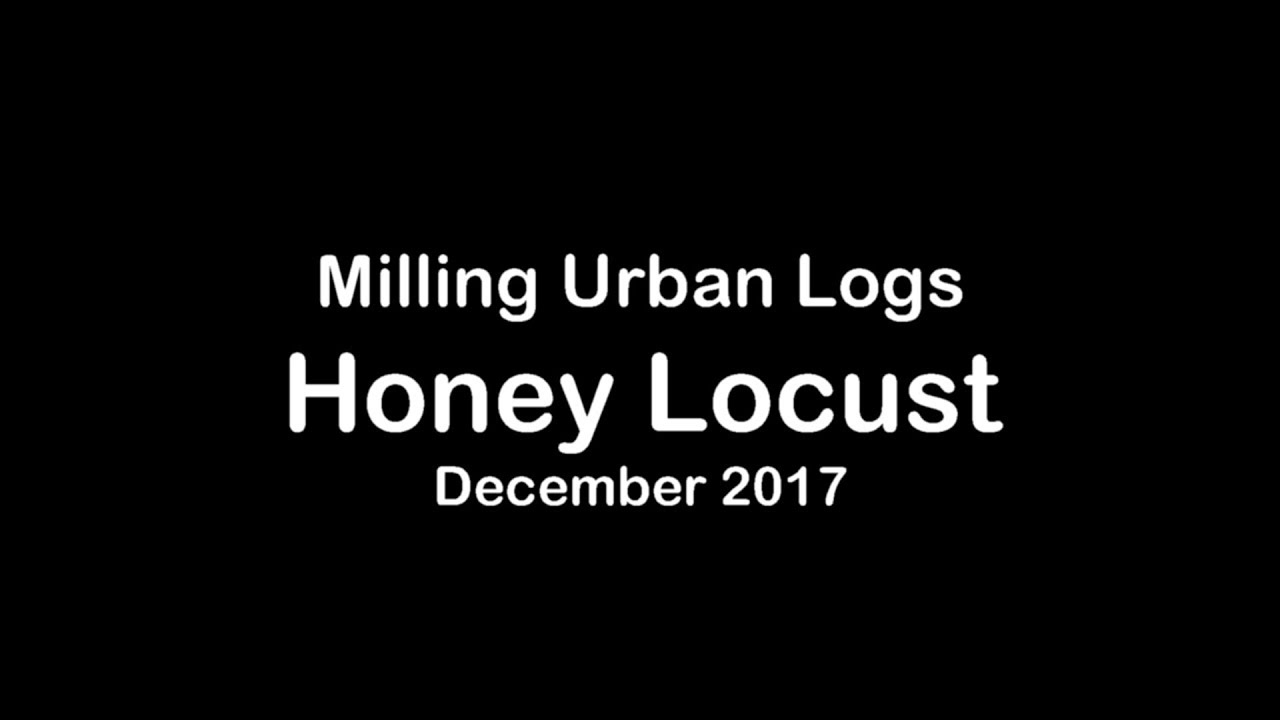 Urban Lumber - Honey Locust