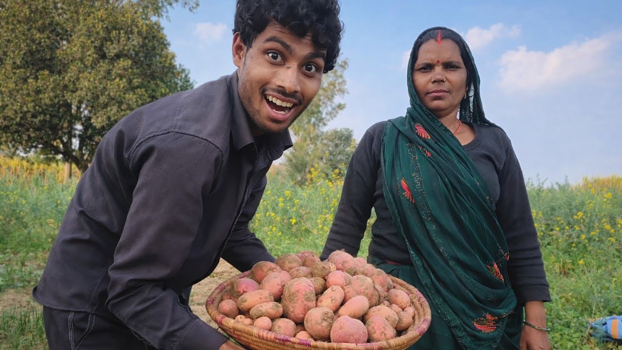 Itne Bade Bade Aalu 😯 | Village Aalu Farming 🥔 | SuBho Safar Vlogs 
