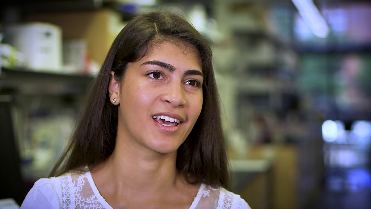 CMaT Research Experiences for Undergraduate Students