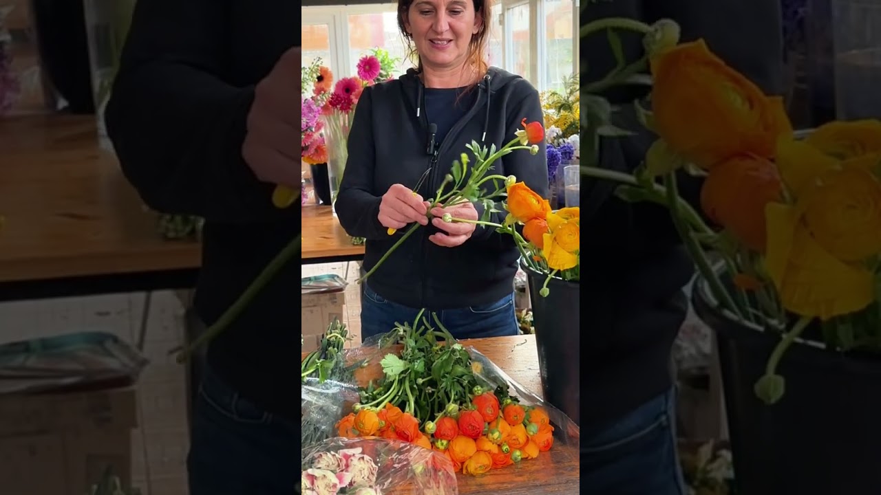 Despre Ranunculus producție Italia ❤️👀👉👌
