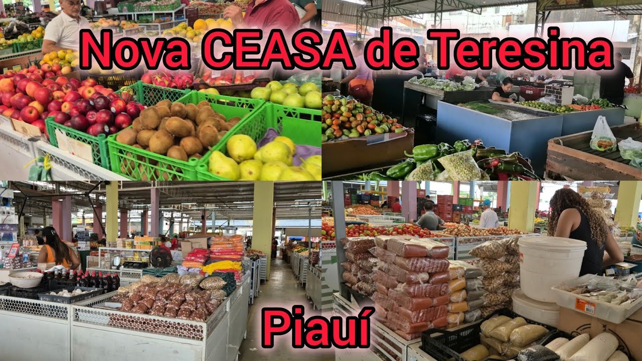 Passeio na CEASA. Teresina Piauí 