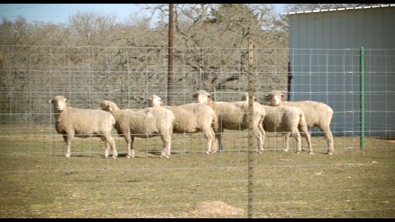 Le prochain gros scandale alimentaire !