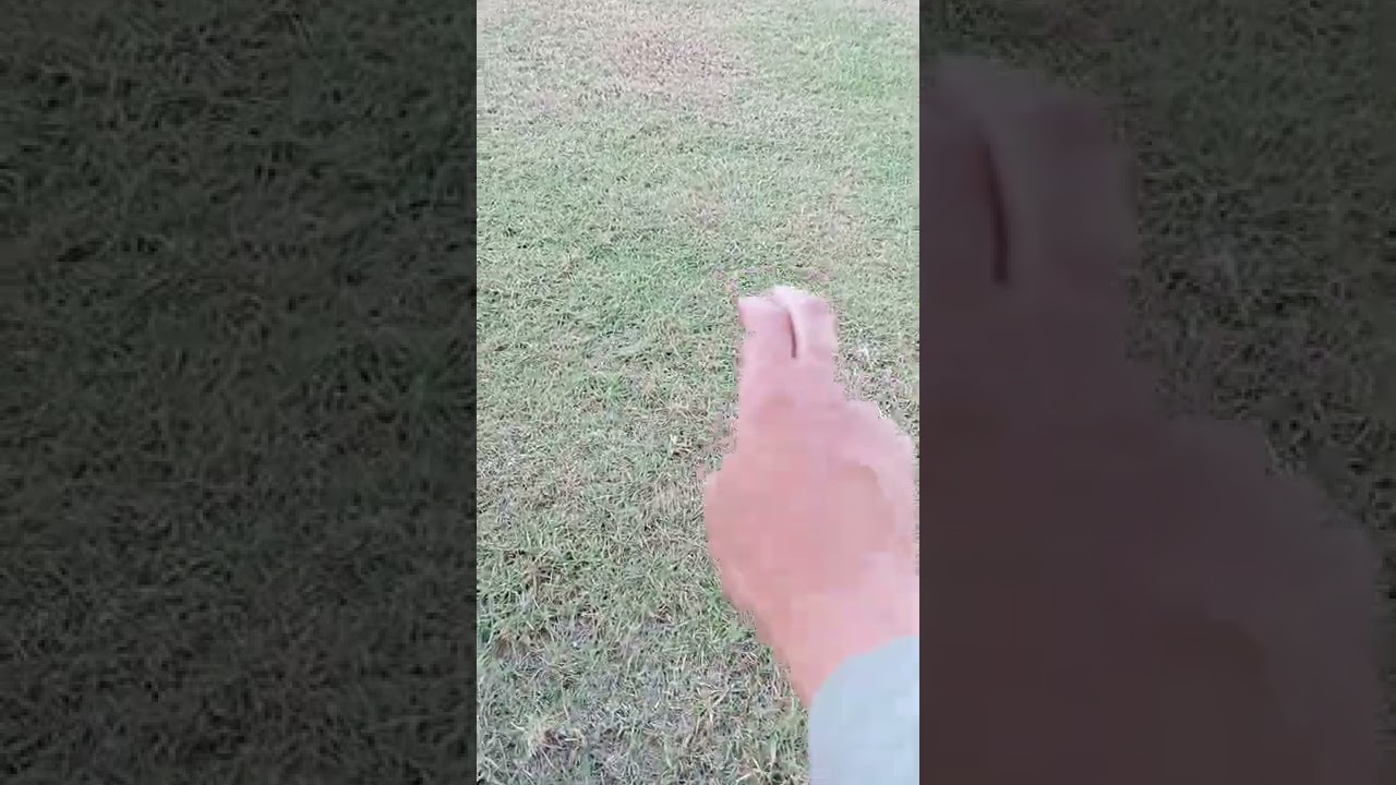 صيانه النجيله فيديو رقم واحد