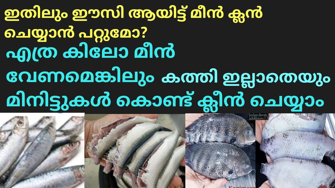 Fish cleaning vlog | Karimeen cleaning tips | kitchen cleaning | fish video malayalam | fish curry