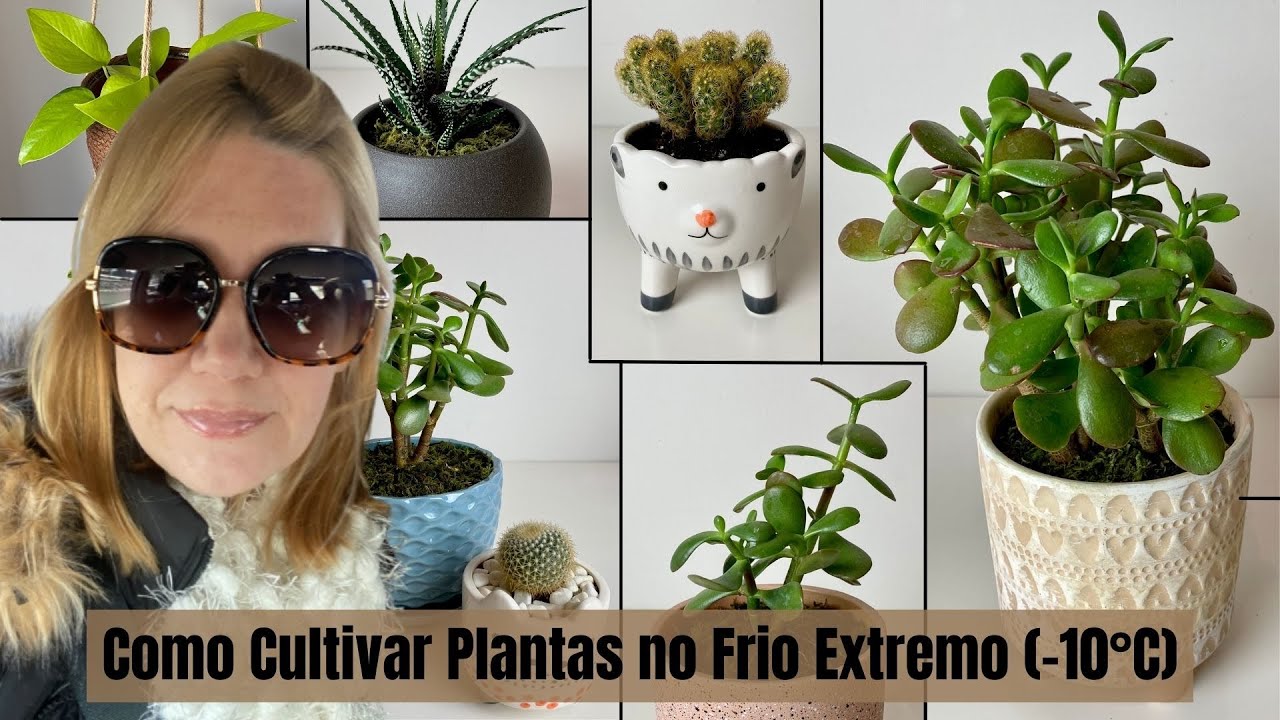 Como Cultivar Plantas no Frio Extremo (-10&deg;C) | Nossa Vida &eacute; sem Frescuras!