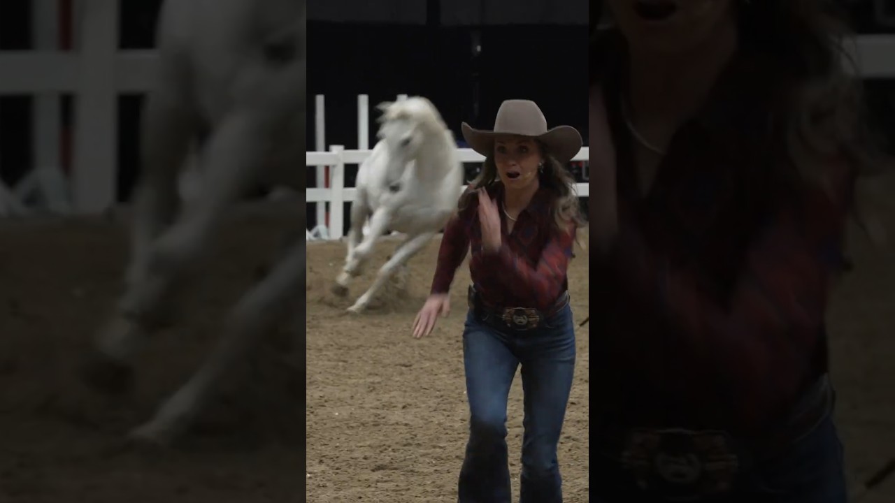 Amber Marshall at the Royal Winter Fair!  #equestrian #horseriding