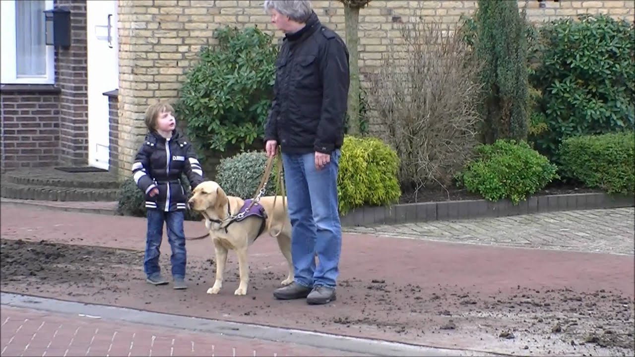 Autisme geleidehond aan het werk