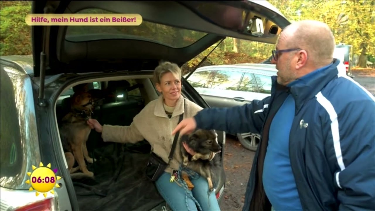 Hund so aggressiv , das er nur mit Maulkorb laufen kann .