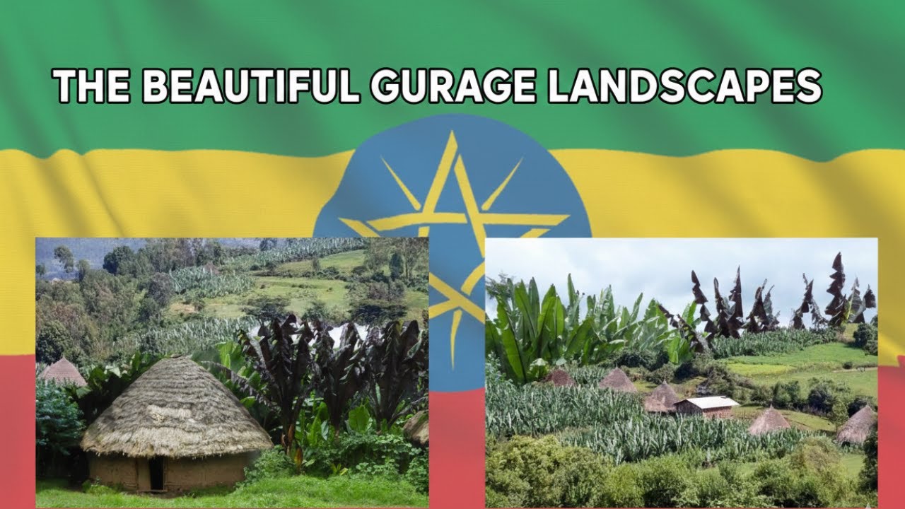 🌿 **Откройте для себя красоту зоны Гураге | Сельская Эфиопия** 🇪🇹