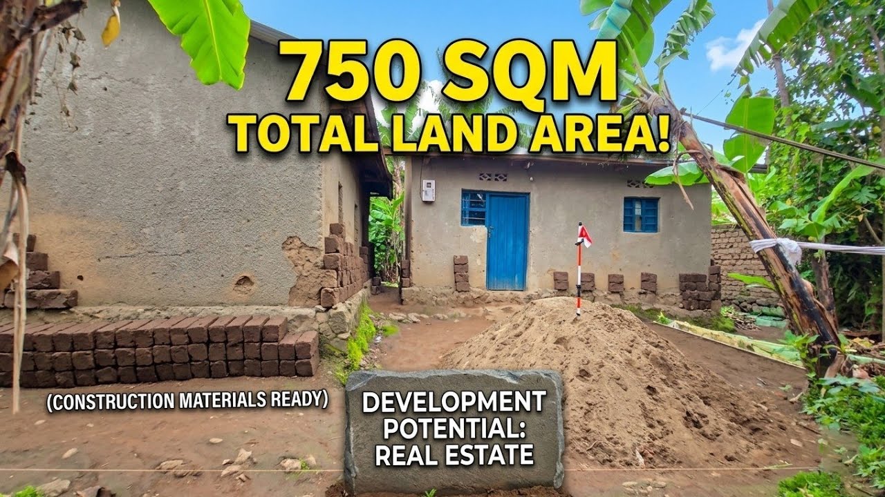 I Musanze, Cyuve Tubazaniye Ikibanza Kinini Kigurishwa Wakatamo ibibanza 2 !! Aya Mahirwe Ntagucike💵