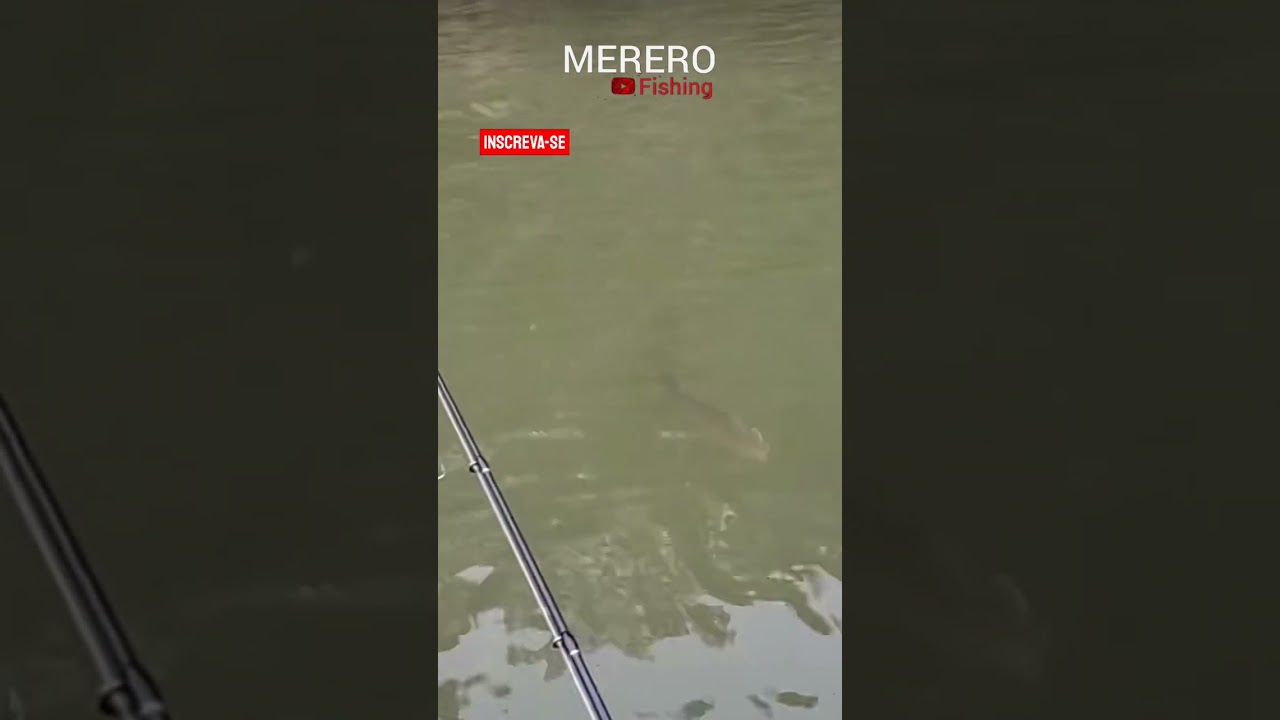 😱O que aconteceu aqui? O que fez isso 😱 #mererofishing #foryou #amazing