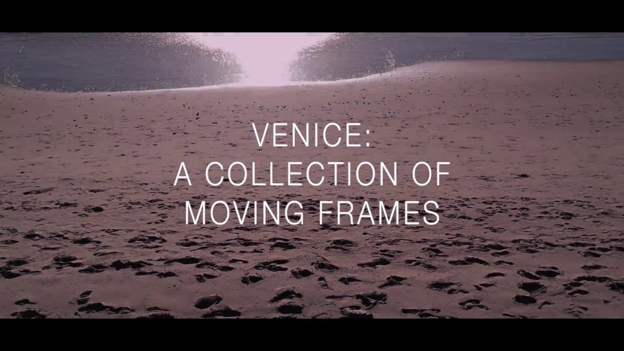 Venice Beach: a collection of moving frames / Dji Spark Flight over Venice beach