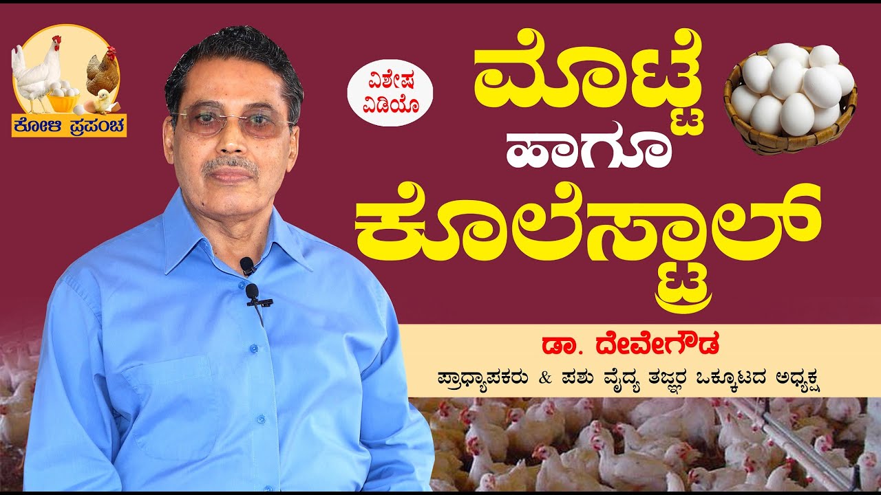 ಮೊಟ್ಟೆ ಹಾಗೂ ಕೊಲೆಸ್ಟ್ರಾಲ್ | Eggs and Cholesterol | Dr G Devegowda | ಕೋಳಿ ಪ್ರಪಂಚ | ಡಾ. ದೇವೇಗೌಡ