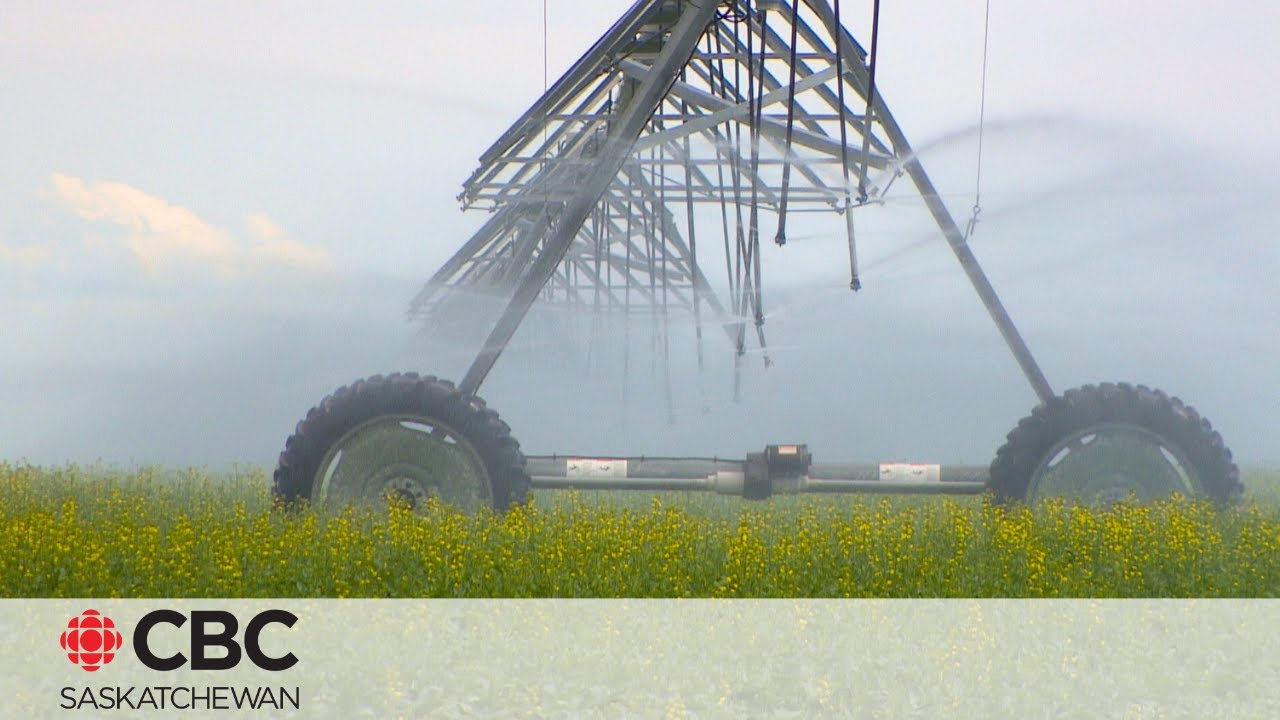 Review of  Sask. irrigation megaproject shows cost would exceed return to provincial government