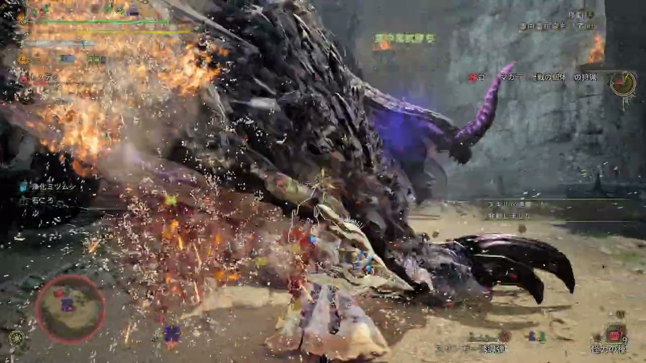 ゴア　ガンランス