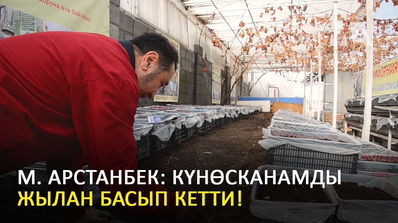 ШОК! Күнөсканада ЖЫЛАН көбөйүп...| Биогумус