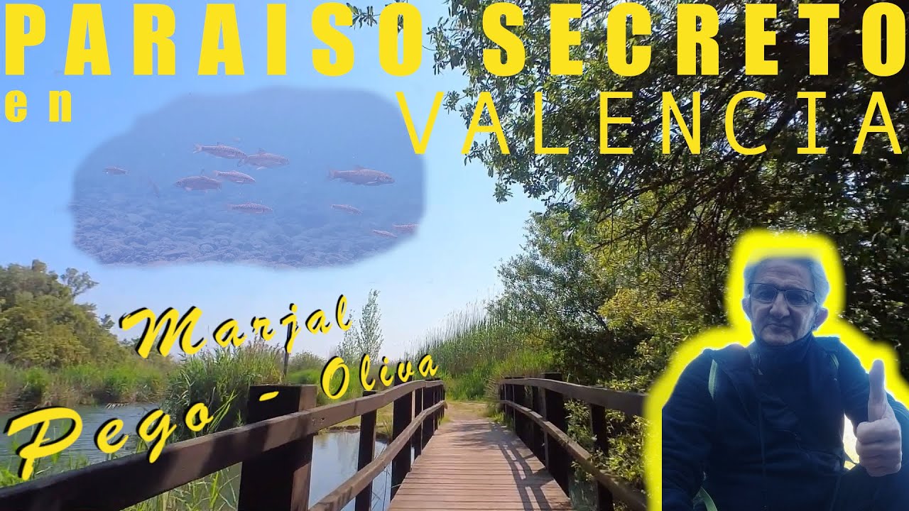 MARJAL PEGO-OLIVA: 